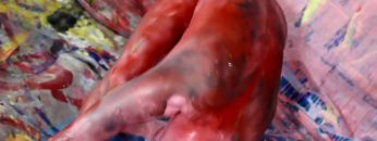 Bed of Roses © Meton Atopik 2011…