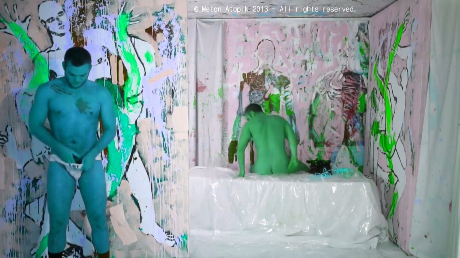 Video Image