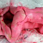 Love in wild – 2010.