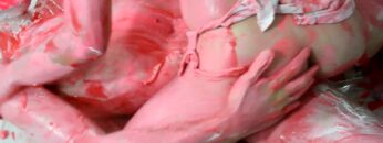 The midnight roses –