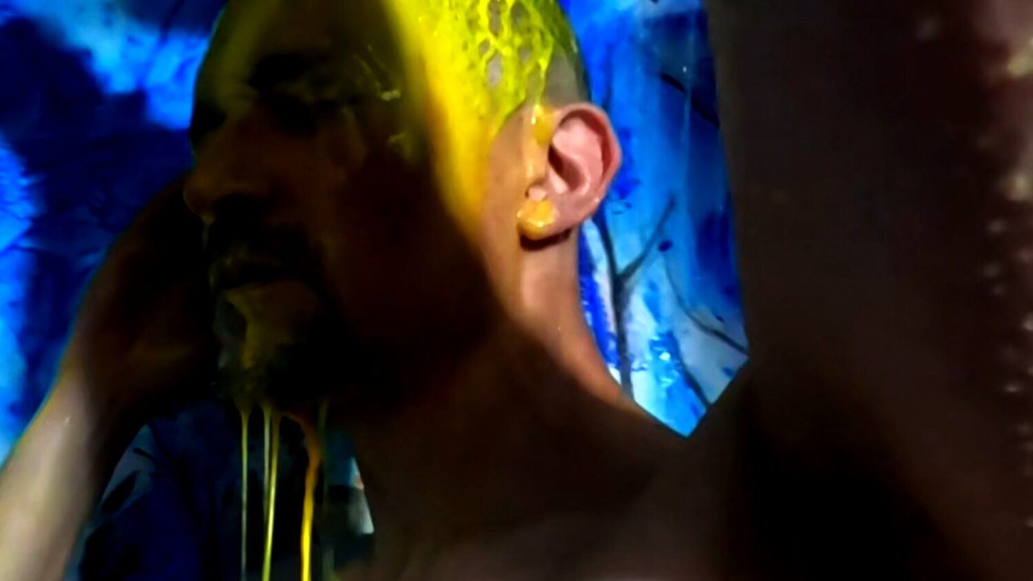 Video Image